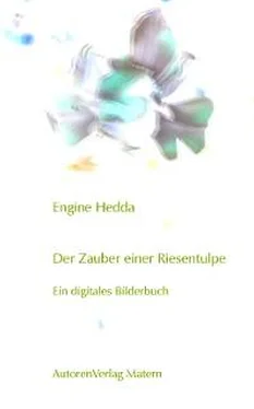 Engine Hedda Der Zauber einer Riesentulpe обложка книги