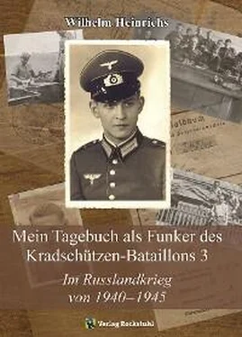Wilhelm Heinrichs Im Russlandkrieg von 1940–1945 обложка книги
