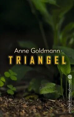 Anne Goldmann Triangel обложка книги