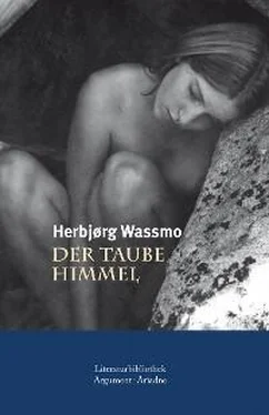 Herbjørg Wassmo Der taube Himmel обложка книги