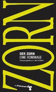Неизвестный Автор Der Zorn обложка книги