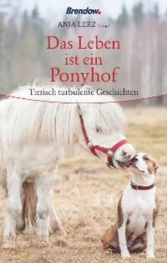 Anja Lerz Das Leben ist ein Ponyhof обложка книги