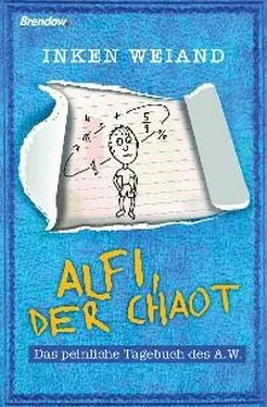 Inken Weiand Alfi, der Chaot обложка книги