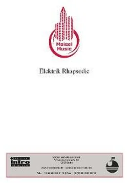 Edmund Kötscher Elektrik Rhapsodie обложка книги