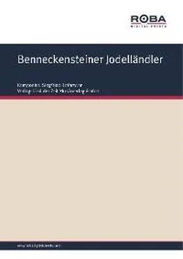 Siegfried Bethmann Benneckensteiner Jodelländler обложка книги