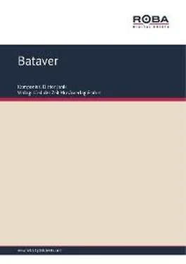 Dieter Janik Bataver обложка книги