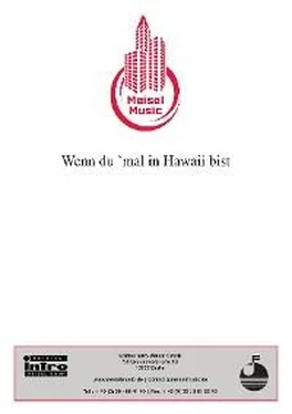 Willy Rosen Wenn du mal in Hawai bist обложка книги