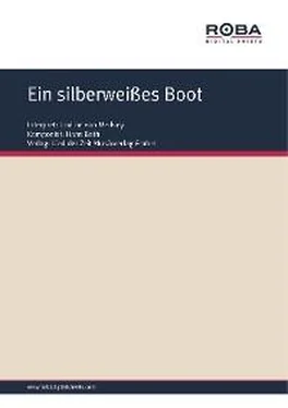 Dieter Schneider Ein silberweißes Boot обложка книги