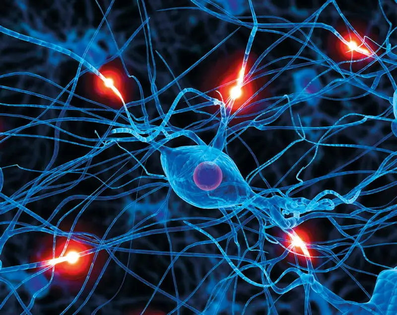 Ein Neuron Die Naturwissenschaft stellt solche Fragen nicht und findet deshalb - фото 5