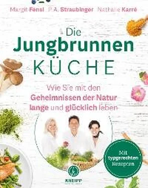 P.A. Straubinger Die Jungbrunnen-Küche обложка книги