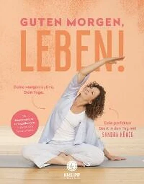 Sandra König Guten Morgen, Leben! обложка книги