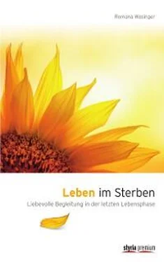 Romana Wasinger Leben im Sterben обложка книги