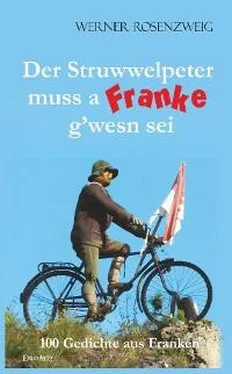 Werner Rosenzweig Der Struwwelpeter muss a Franke gwesn sei обложка книги