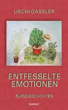Uschi Gassler Entfesselte Emotionen обложка книги