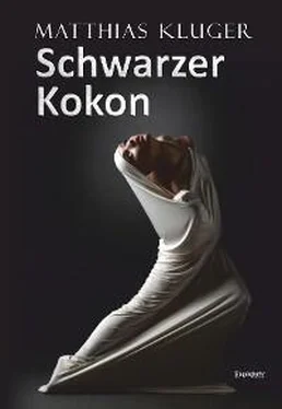 Matthias Kluger Schwarzer Kokon обложка книги