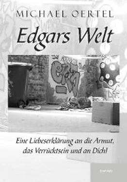 Michael Oertel Edgars Welt обложка книги