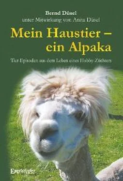 Bernd Düsel Mein Haustier – ein Alpaka обложка книги
