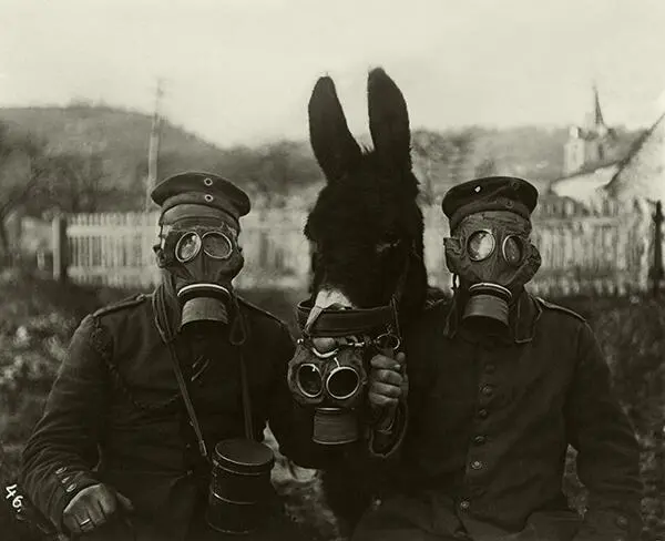 Deutsche Soldaten und Maultier mit Gasmaskenwährend des 1 Weltkriegs 1917 an - фото 10