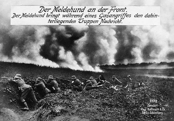 Während eines Gasangriffs bringt ein Meldehund den Truppen Nachricht Westfront - фото 14