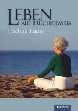 Eveline Luutz Leben auf brüchigem Eis обложка книги