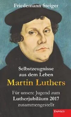 Friedemann Steiger Selbstzeugnisse aus dem Leben Martin Luthers обложка книги