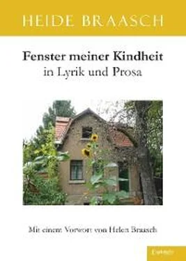 Heide Braasch Fenster meiner Kindheit in Lyrik und Prosa обложка книги