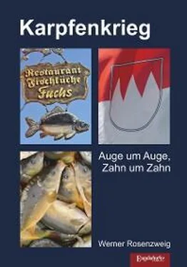 Werner Rosenzweig Karpfenkrieg обложка книги