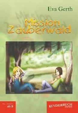 Eva Gerth Mission Zauberwald обложка книги