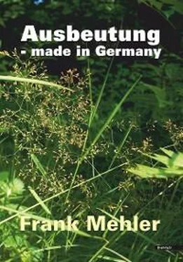 Frank Mehler Ausbeutung - made in Germany обложка книги