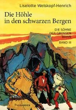 Liselotte Welskopf-Henrich Die Höhle in den schwarzen Bergen обложка книги