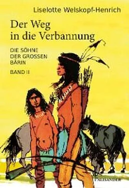 Liselotte Welskopf-Henrich Der Weg in die Verbannung обложка книги