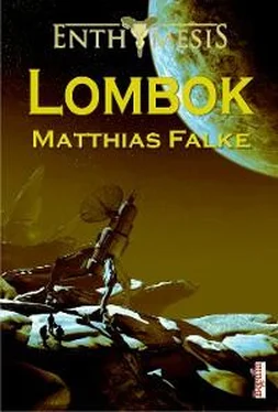 Matthias Falke Lombok обложка книги