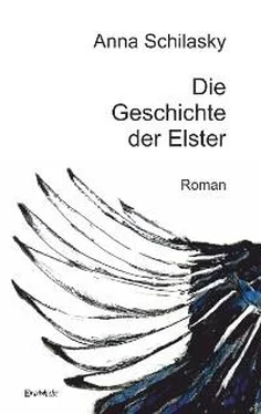 Anna Schilasky Die Geschichte der Elster обложка книги