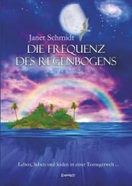 Janet Schmidt Die Frequenz des Regenbogens обложка книги
