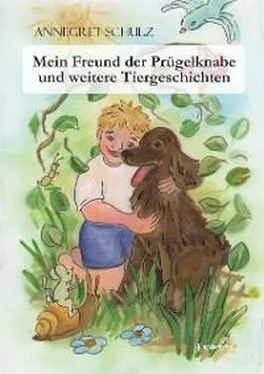 Annegret Schulz Mein Freund der Prügelknabe und weitere Tiergeschichten обложка книги