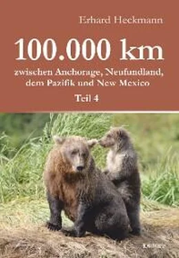 Erhard Heckmann 100.000 km zwischen Anchorage, Neufundland, dem Pazifik und New Mexico - Teil 4 обложка книги