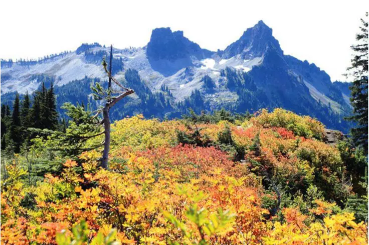 Herbststimmung im Mount Rainier Nationalpark Aussichtspunkte und - фото 5