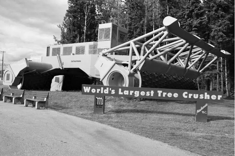 Der Tree Crasher 17 Meter lang 64 Meter hoch 170 Tonnen schwer rodete 1964 - фото 10