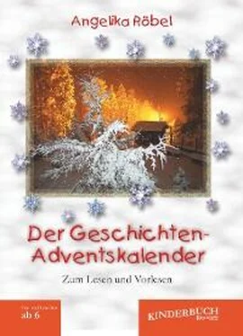 Angelika Röbel Der Geschichten-Adventskalender обложка книги