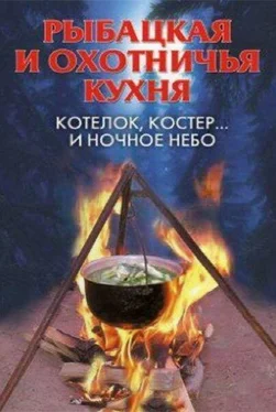 А Нестерова Рыбацкая и охотничья кухня. Котелок, костер... и ночное небо обложка книги