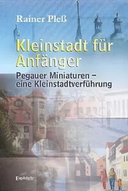 Rainer Pleß Kleinstadt für Anfänger обложка книги