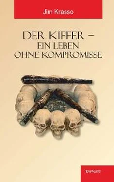 Jim Krasso Der Kiffer – Ein Leben ohne Kompromisse обложка книги