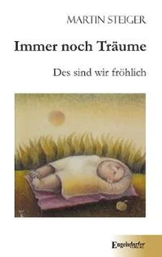 Martin Steiger Immer noch Träume обложка книги