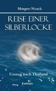 Margret Noack Reise einer Silberlocke обложка книги