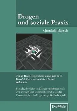 Gundula Barsch Drogen und soziale Praxis - Teil 2: Das Drogenthema und wie es in Berufsfeldern der sozialen Arbeit auftaucht обложка книги