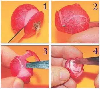 1 Отрезаем верх редиски 2 Вырезаем лепестки 3 Срезаем слой редиса по - фото 91
