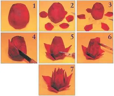 1 Свекле придаем овальную форму 2 Делаем срезы для 5 лепестков 3 Делаем 5 - фото 101
