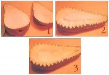 1 Отрезаем часть груши 2 Ножом или угловой выемкой нарезаем зубчики 3 - фото 133