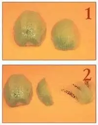 1 Отрезаем часть киви 2 Нарезаем тонкие дольки и укладываем на блюдо в виде - фото 143