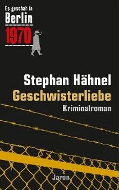 Stephan Hähnel Geschwisterliebe обложка книги